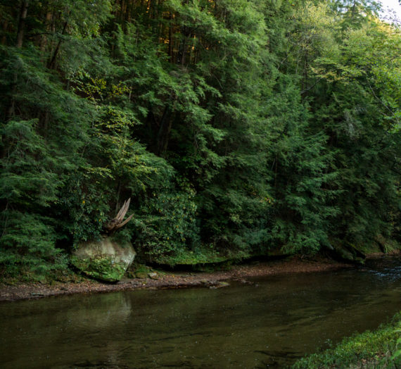 PLAYLIST: What to listen to when you’re fishing in Southeast Ohio