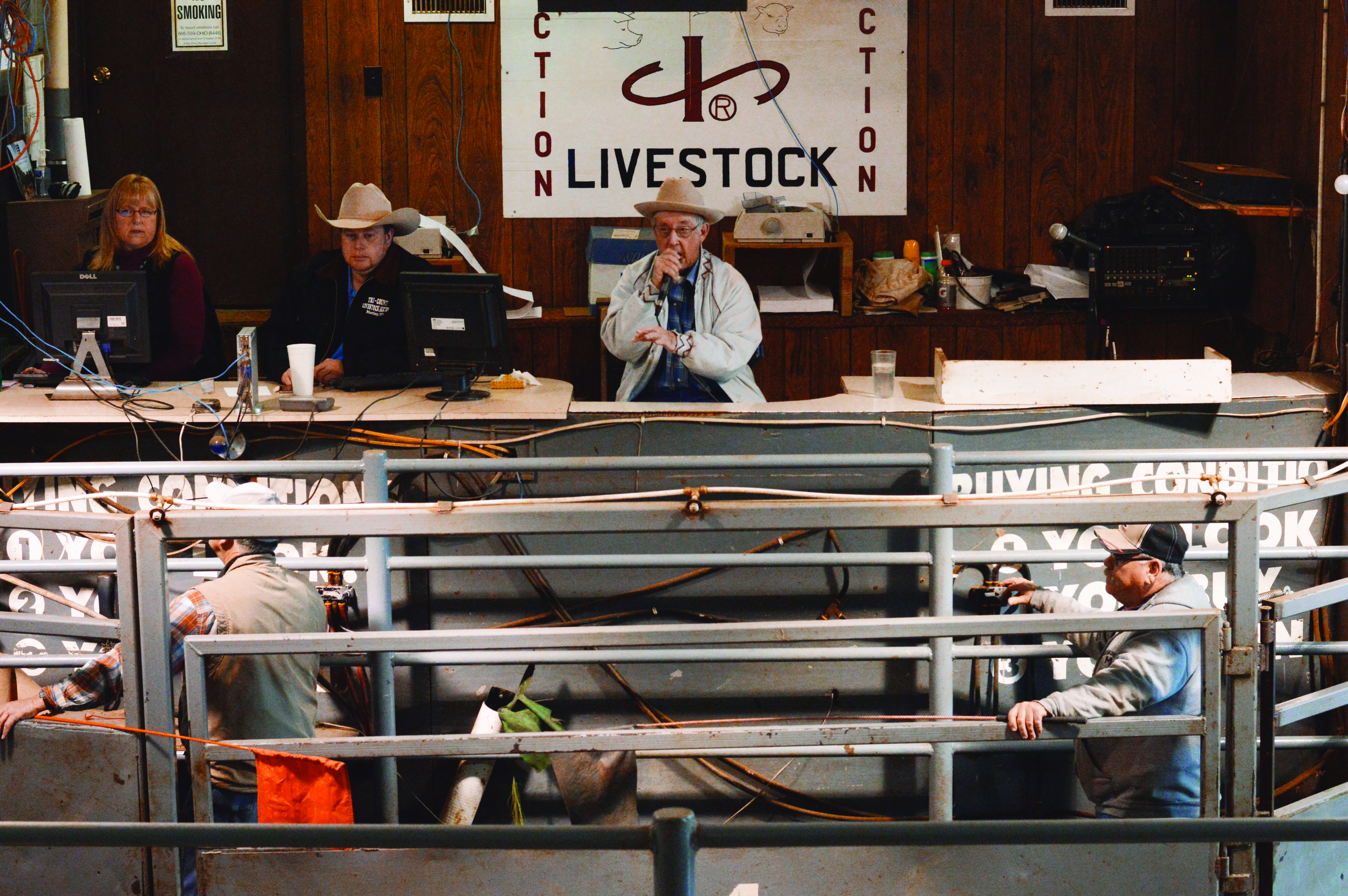 Muskingum Livestock Auction sells Ohio-bred cattle to big bidders
