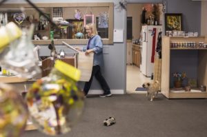 The studio's dog Bruno follows artist Pam Hatton through the shop as she works.