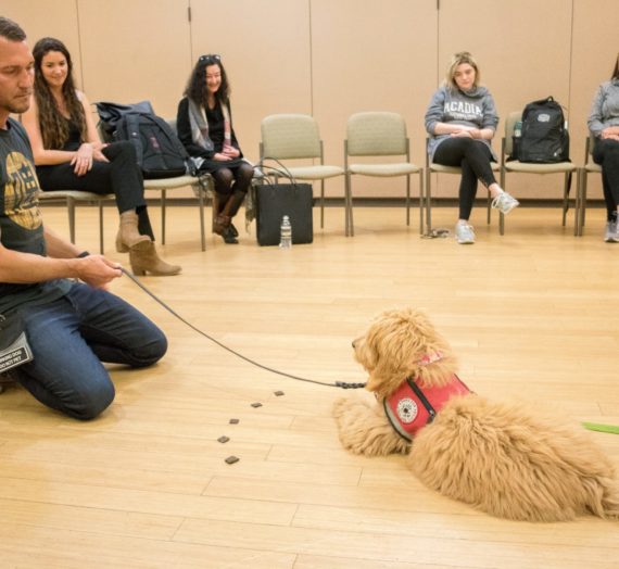 Lucky Dog show host teaches trainers and service dogs