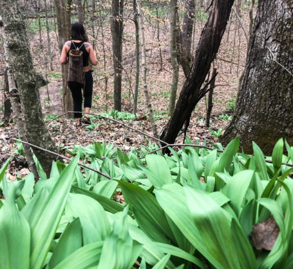 Foraging and Its Consistency As a Way of Life in Southeast Ohio 