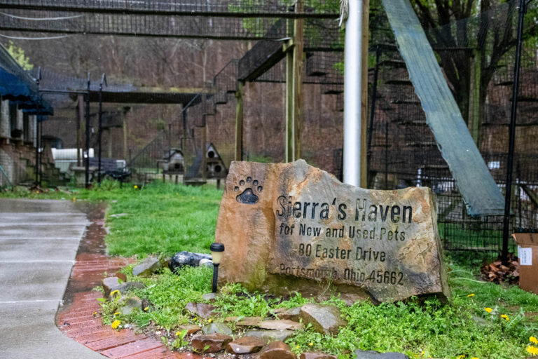 What Sierra’s Haven Overcomes to Save Animals